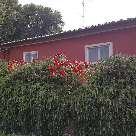 Tenuta Col Di Sasso