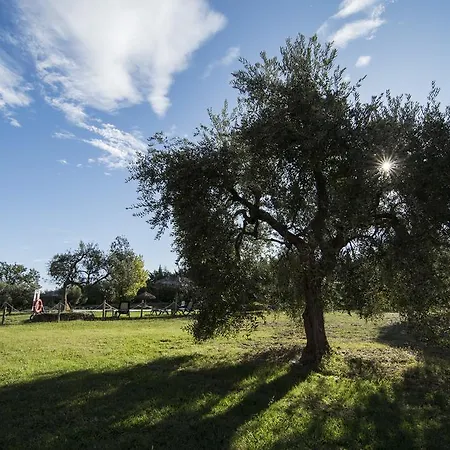 Tenuta Col Di Sasso 스카를리노