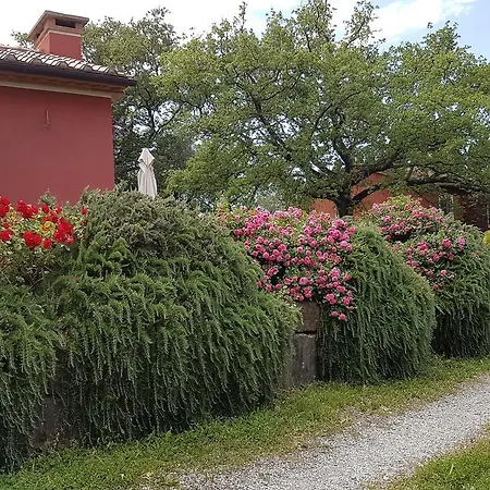 Tenuta Col Di Sasso Scarlino