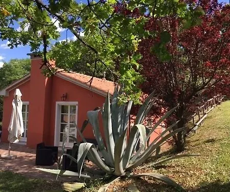 Tenuta Col Di Sasso *