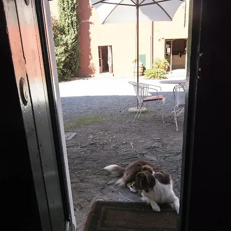 Tenuta Col Di Sasso 컨트리하우스 *