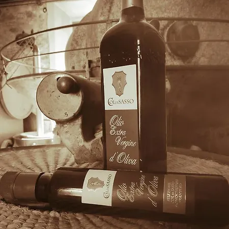Tenuta Col Di Sasso 컨트리하우스