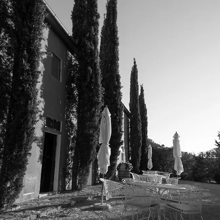 Tenuta Col Di Sasso *