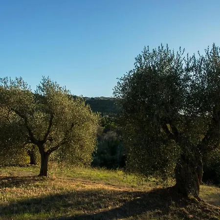 Tenuta Col Di Sasso Casa di campagna