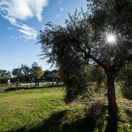 Casa di campagna Tenuta Col Di Sasso