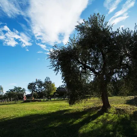 Tenuta Col Di Sasso * Scarlino