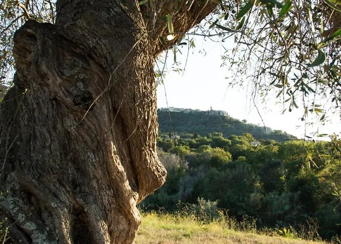 Tenuta Col Di Sasso * Скарлино
